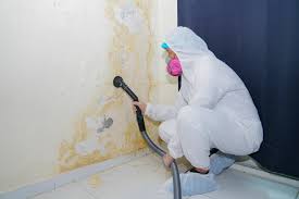 Best Commercial Mold Inspection  in Hillsborough, CA